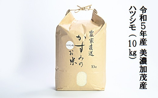 【新米・予約】【お米マイスターが提供 冷めても美味しい】 令和5年産 美濃加茂産 ハツシモ ( 10kg ) | 春見ライス 米 お米 コメ  M12S94|有限会社 春見ライス