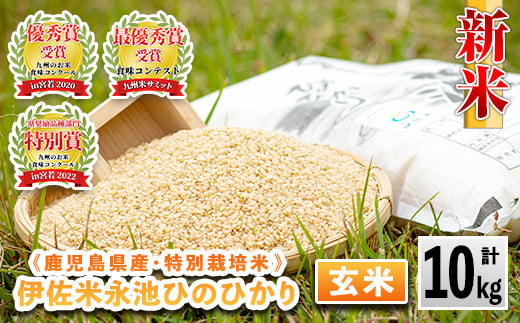 アイテムID:315154の画像1枚目