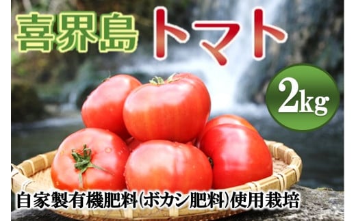 2023年12月頃発送】【先行受付】『喜界島トマト』自家製有機肥料