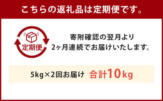 【定期便2回】人吉球磨産 森のくまさん 5kg 合計10kg 米 熊本 熊本県産
