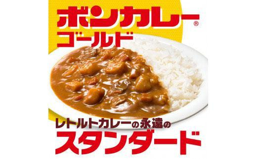 【定期便全2回】ボンカレーゴールド（辛口）30個×2回　計60個