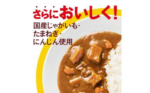 【定期便全2回】ボンカレーゴールド（辛口）30個×2回　計60個