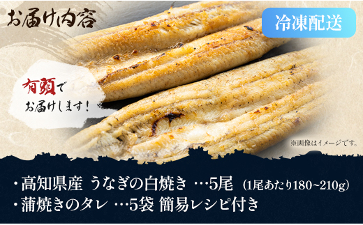 ふるさと納税 高知県産うなぎの白焼き 180〜210g×5尾 エコ包装 国産