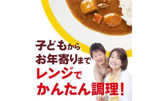 定期便全6回】ボンカレーゴールド（辛口）30個×6回 計180個 - 徳島県