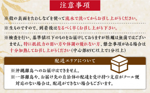 生牡蠣】甘み際立つプリプリ牡蠣！むき身 500g 殻付き 20個＜有限会社