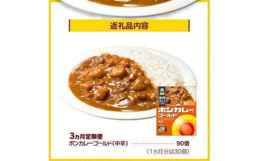 【定期便全3回】ボンカレーゴールド（中辛）30個×3回　計90個