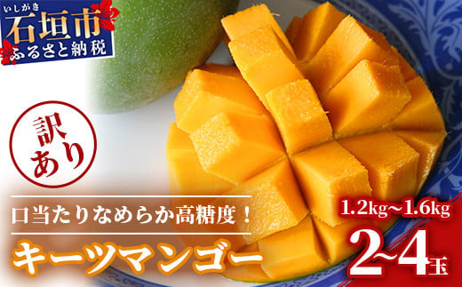 訳あり】沖縄県石垣島産 キーツマンゴー 1.2kg～1.6kg【2～4玉