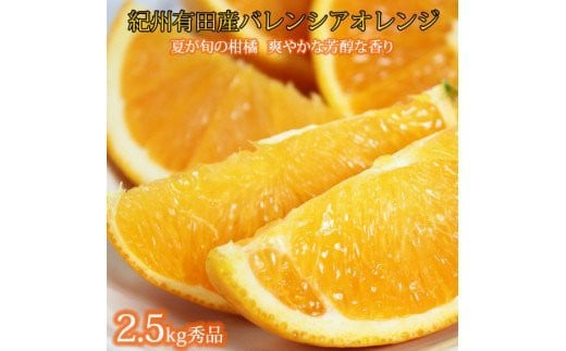 秀品　希少な国産バレンシアオレンジ　2.5kg　※2026年6月下旬頃～7月上旬頃 順次発送（お届け日指定不可）【uot752】 2206489 - 和歌山県北山村