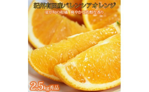 秀品　希少な国産バレンシアオレンジ　2.5kg　※2024年6月下旬頃～7月上旬頃順次発送（お届け日指定不可） 765427 - 和歌山県古座川町