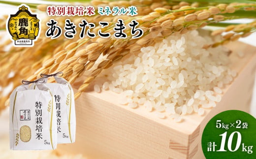 《先行予約》令和6年産 特別栽培米 ミネラル農法 単一原料米「あきたこまち」10kg（5kg×2袋）【こだて農園】●2024年10月下旬発送開始 米 お米 こめ コメ おすすめ お中元 お歳暮 グルメ ギフト 故郷 秋田県 秋田 あきた 鹿角市 鹿角 送料無料 産地直送 農家直送 1000904 - 秋田県鹿角市