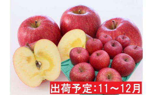 りんご 【 11月 ～ 12月発送 】  贈答規格 蜜入り EM サンふじ 約 3kg  糖度 13度以上 【 弘前市産 青森りんご 】 リンゴ 果物 青森 弘前 ふじ 贈答 684413 - 青森県弘前市