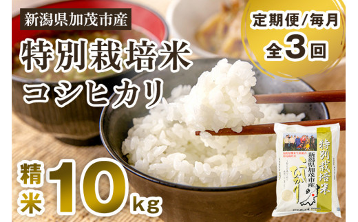 特別栽培　新潟県産コシヒカリ　玄米10キロ