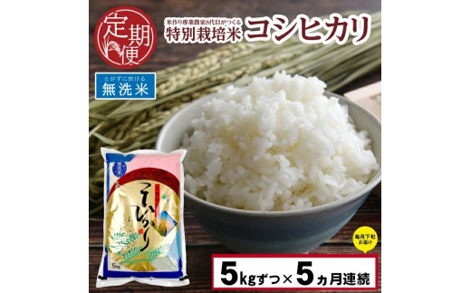 SE0193　【5回定期便】令和5年産 無洗米 特別栽培米 コシヒカリ　5kg×5回(計25kg)「農家直送」 KA