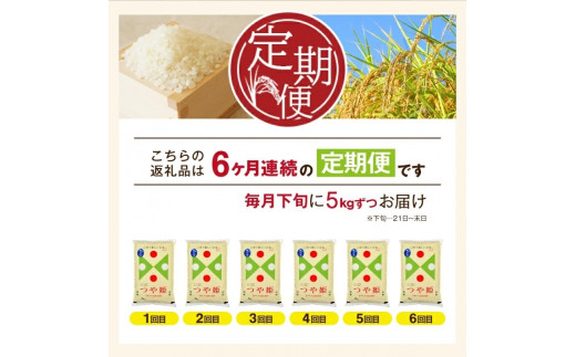 SF0109 【6回定期便】令和5年産 無洗米 特別栽培米 つや姫 5kg×6回(計