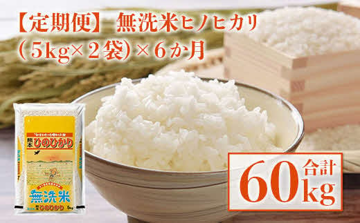 1515　【定期便】最新年度米 無洗米 熊本県産 ひのひかり 10㎏×6ヶ月