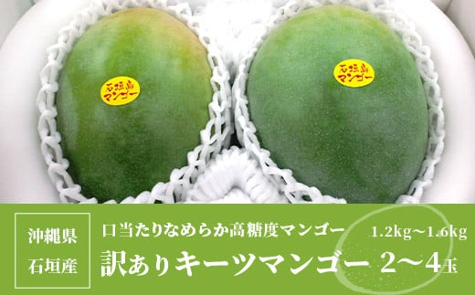 訳あり】沖縄県石垣島産 キーツマンゴー 1.2kg～1.6kg【2～4玉