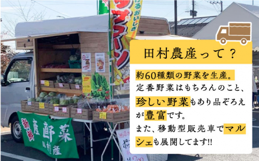 農家が作る!!完熟いちじくドレッシングと完熟いちじくソースのセット(200g×各2本)《豊前市》【田村農産】完熟 詰め合わせ ドレッシング 調味料  [VBE004]