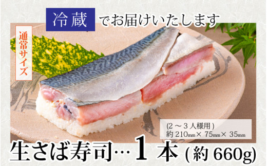 贅沢すぎる！極厚福井の生さば寿司 【 生鯖 鯖ずし 海鮮 魚貝 寿司