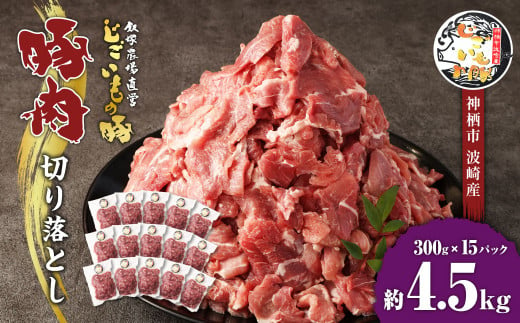豚肉 切り落とし 約4.5kg (約300g×15パック) 豚 肉 じごいもの豚 茨城県 神栖市 957128 - 茨城県神栖市