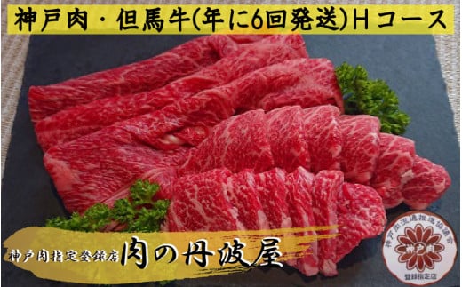 神戸肉・但馬牛（年に6回発送）Ｈコース 651911 - 兵庫県丹波市