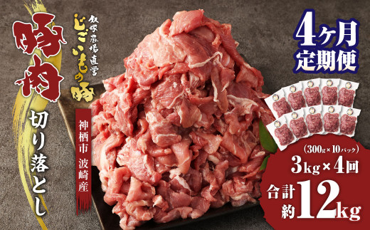  【4ヶ月定期便】 豚肉 切り落とし 約3kg(約300g×10パック)×4回 合計 約12kg