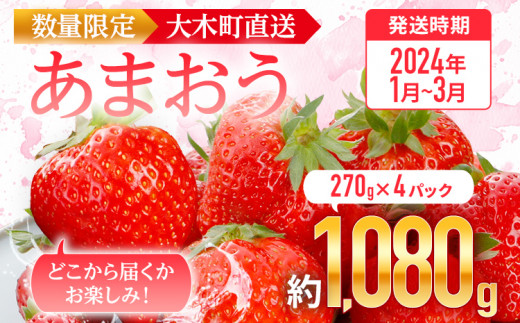 先行予約 福岡育ち あまおう いちご 約270g×4パック 合計1080g 【2024年1月〜3月順次発送】 CB223