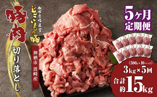 【5ヶ月定期便】 豚肉 切り落とし 約3kg(約300g×10パック)×5回 合計 約15kg