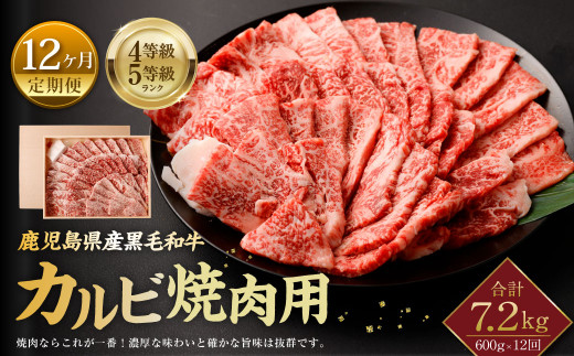 鹿児島県産 黒毛和牛 カルビ 焼肉用 600g ×12回 計約7.2kg
