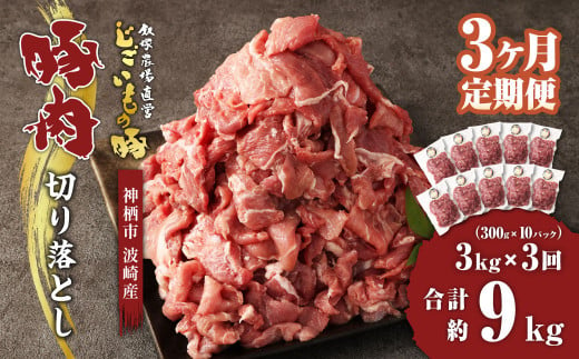 【3ヶ月定期便】 豚肉 切り落とし 約3kg(約300g×10パック)×3回 合計 約9kg