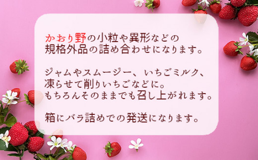 No.271 先行予約「坂東市産」訳ありいちご かおり野 小粒や規格外品