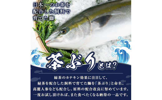 茶ぶり フィレ (約1.4kg×1枚)【ウスイ】usui-1130 - 鹿児島県長島町