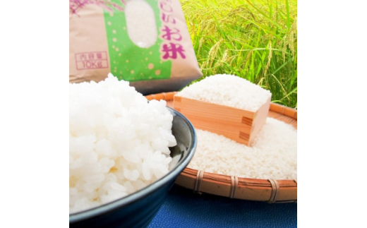 2023年10月発送開始『定期便』特別栽培米コシヒカリ精米10kg全3回