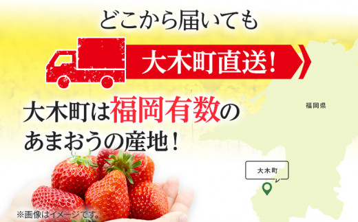 【2024年1月〜3月順次発送】