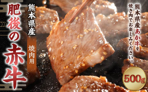 肥後の赤牛 焼肉用 約500g 牛肉 赤牛 焼き肉 やきにく 冷凍 1003870 - 熊本県菊陽町