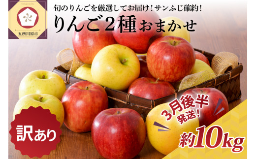 【2025年3月後半発送】【訳あり】 りんご 約10kg サンふじ確約 青森産 品種おまかせ2種以上 1064392 - 青森県五所川原市