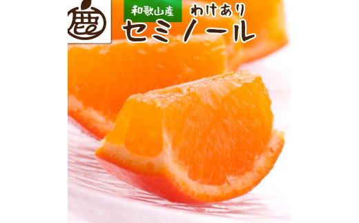 ＜4月より発送＞家庭用 セミノールオレンジ5kg+150g（傷み補償分）【有田の春みかん】【有田産】【光センサー食べ頃出荷】【わけあり・訳あり】