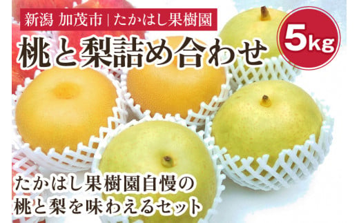 たかはし果樹園 謹製 新潟県産 桃と和梨の内容おまかせ詰め合わせ 約5kg《8月中旬から発送》 果物 フルーツギフト 秋の味覚 産地直送 加茂市 たかはし果樹園 921003 - 新潟県加茂市