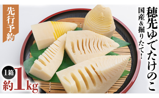 《 先行予約 》 掘りたて 穂先 ゆでたけのこ 約1kg 【 2026年 4月中旬 以降発送 】 野菜 春 旬 期間限定 数量限定 国産 産地直送 箱 真空パック 個包装 茹で 筍 タケノコ 竹の子
