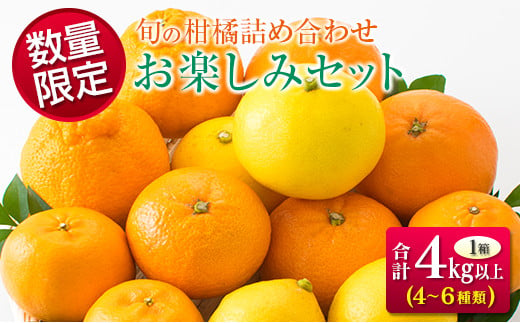 数量限定 旬の柑橘 詰め合わせ お楽しみ セット 合計4kg以上 4～6種類 フルーツ 果物 くだもの 柑橘 みかん オレンジ ポンカン スイートスプリング 不知火 日向夏 はるか 国産 食品 おすすめ デザート おやつ ギフト 贈り物 贈答 宮崎県 日南市 送料無料_BC80-23 365328 - 宮崎県日南市