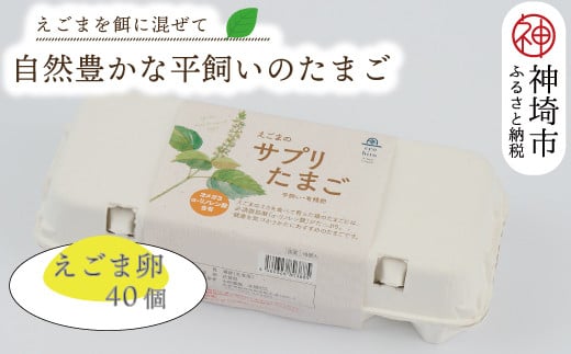 卵（鶏、烏骨鶏等）のふるさと納税 カテゴリ・ランキング・一覧