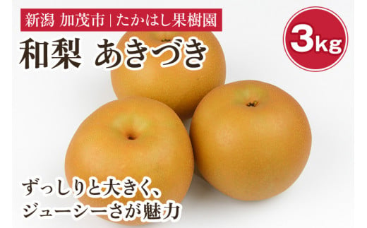 【2024年先行予約】 たかはし果樹園 謹製 新潟県産和梨 あきづき 約3kg《9月下旬以降配送》 果物 フルーツギフト 秋の味覚 産地直送 加茂市 たかはし果樹園