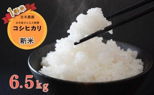 お米　令和5年　愛媛県産コシヒカリ　白米　20㎏