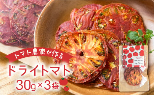 [トマト農家が本気で作った]ウエタトマトdeドライトマト 30g×3袋 愛知県 田原市産