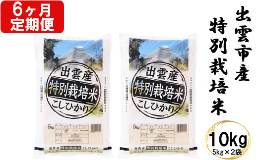 特別栽培米　出雲市産コシヒカリ　10 ｋｇ×6回　定期便6ヵ月　お米　【12-001】