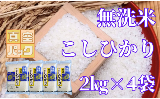 棚田米『コシヒカリ』無洗米2kg×4袋