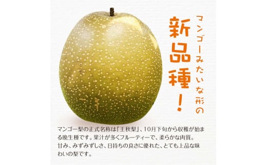 熊本県球磨村のふるさと納税 FKP9-407 【先行予約】≪わけあり≫マンゴー梨 4kg 果物 フルーツ なし ナシ 毎床すなお梨園 熊本県 球磨村 九州