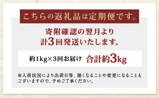 【3ヶ月定期便】長崎県産 本マグロ赤身 1kg 8人前～10人前
