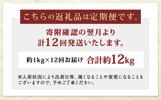 【12ヶ月定期便】長崎県産 本マグロ赤身 1kg 8人前～10人前