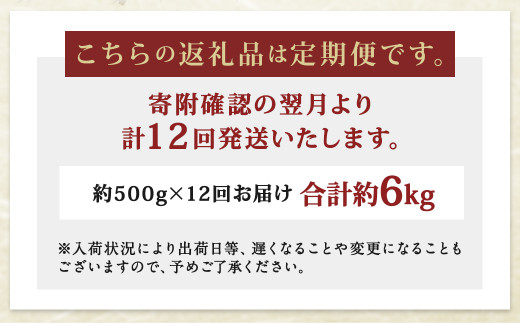 【12ヶ月定期便】長崎県産 本マグロ赤身 500g 