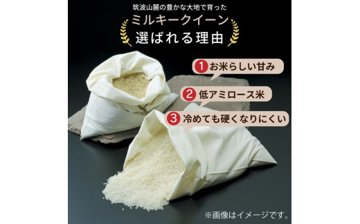 令和5年産 新米 茨城県産 ミルキークイーン 精米・5kg（5kg×1袋）茨城県産のお米ミルキークイーンは、モチモチした食感が特徴の低アミロース米,  ※離島への配送不可, ※2023年9月上旬頃より順次発送予定|田島屋